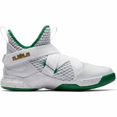 lebron 12 irish